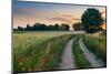 Summer Landscape with Country Road and Fields of Wheat. Masuria, Poland.-ysuel-Mounted Photographic Print