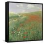 Summer Landscape with Poppy Field, 1902-Paul von Szinyei-Merse-Framed Stretched Canvas