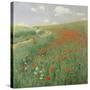 Summer Landscape with Poppy Field, 1902-Paul von Szinyei-Merse-Stretched Canvas