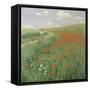Summer Landscape with Poppy Field, 1902-Paul von Szinyei-Merse-Framed Stretched Canvas