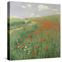 Summer Landscape with Poppy Field, 1902-Paul von Szinyei-Merse-Stretched Canvas