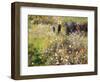 Summer Landscape-Pierre-Auguste Renoir-Framed Premium Giclee Print