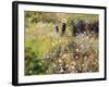 Summer Landscape-Pierre-Auguste Renoir-Framed Giclee Print