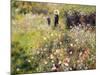 Summer Landscape-Pierre-Auguste Renoir-Mounted Giclee Print