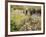 Summer Landscape-Pierre-Auguste Renoir-Framed Giclee Print