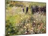 Summer Landscape-Pierre-Auguste Renoir-Mounted Giclee Print