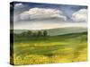 Summer landscape-Sarah Thompson-Engels-Stretched Canvas