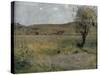 Summer Landscape-Jules Bastien-Lepage-Stretched Canvas