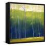 Summer Leaves-Teri Jonas-Framed Stretched Canvas