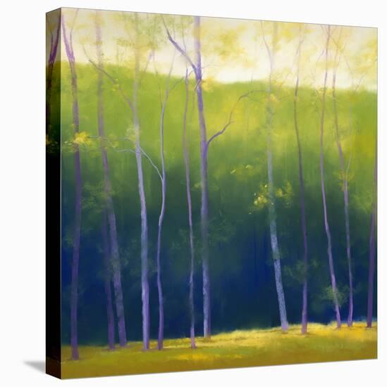 Summer Leaves-Teri Jonas-Stretched Canvas