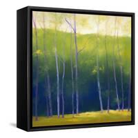 Summer Leaves-Teri Jonas-Framed Stretched Canvas