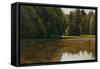 Summer Light - White Pine Rd Pond-Michael Budden-Framed Stretched Canvas