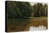 Summer Light - White Pine Rd Pond-Michael Budden-Stretched Canvas