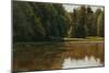 Summer Light - White Pine Rd Pond-Michael Budden-Mounted Giclee Print