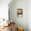 Summer Light-Michalina Wozniak-Stretched Canvas displayed on a wall