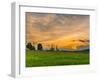 Summer Light-Brenda Petrella Photography LLC-Framed Giclee Print