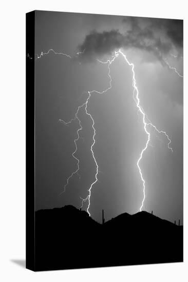 Summer Lightning BW-Douglas Taylor-Stretched Canvas