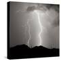 Summer Lightning I BW-Douglas Taylor-Stretched Canvas