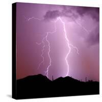 Summer Lightning I-Douglas Taylor-Stretched Canvas