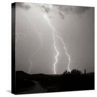 Summer Lightning II BW-Douglas Taylor-Stretched Canvas