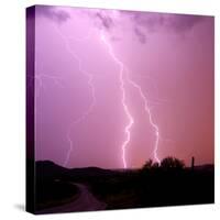 Summer Lightning II-Douglas Taylor-Stretched Canvas