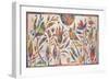 Summer Magic-Sue Davis-Framed Giclee Print