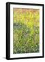 Summer Meadow, 2012-Leigh Glover-Framed Giclee Print