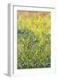 Summer Meadow, 2012-Leigh Glover-Framed Giclee Print