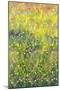 Summer Meadow, 2012-Leigh Glover-Mounted Giclee Print