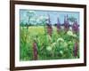 Summer Meadow-Ann Oram-Framed Giclee Print