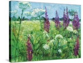 Summer Meadow-Ann Oram-Stretched Canvas