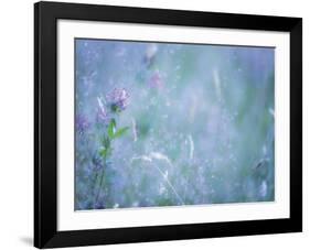 Summer Meadow-Don Paulson-Framed Giclee Print