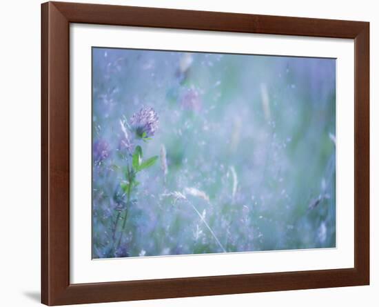 Summer Meadow-Don Paulson-Framed Giclee Print