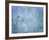 Summer Meadow-Don Paulson-Framed Giclee Print