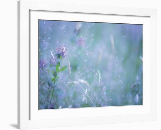 Summer Meadow-Don Paulson-Framed Giclee Print