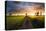 Summer Meadow-Stefan Hefele-Stretched Canvas