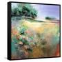 Summer Meadow-Karen Hale-Framed Stretched Canvas