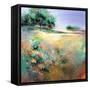 Summer Meadow-Karen Hale-Framed Stretched Canvas