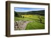 Summer Meadows at Gunnerside in Swaledale-Mark Sunderland-Framed Photographic Print