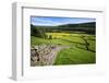 Summer Meadows at Gunnerside in Swaledale-Mark Sunderland-Framed Photographic Print