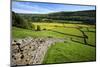 Summer Meadows at Gunnerside in Swaledale-Mark Sunderland-Mounted Photographic Print