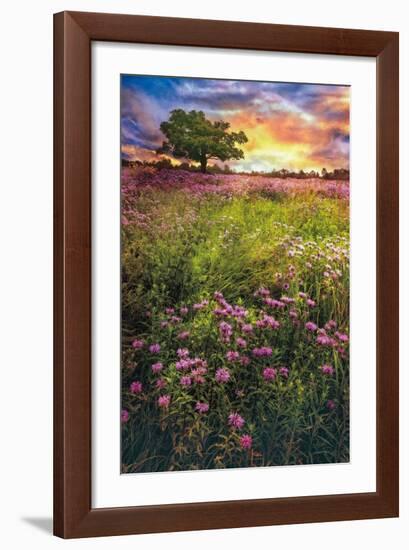 Summer Meadows-Celebrate Life Gallery-Framed Giclee Print