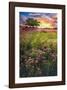 Summer Meadows-Celebrate Life Gallery-Framed Giclee Print