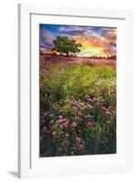 Summer Meadows-Celebrate Life Gallery-Framed Giclee Print