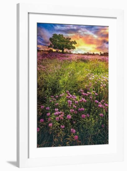 Summer Meadows-Celebrate Life Gallery-Framed Giclee Print