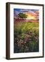 Summer Meadows-Celebrate Life Gallery-Framed Giclee Print