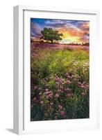 Summer Meadows-Celebrate Life Gallery-Framed Art Print