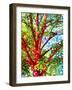 Summer Medley-Mandy Budan-Framed Giclee Print