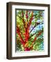 Summer Medley-Mandy Budan-Framed Giclee Print