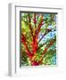 Summer Medley-Mandy Budan-Framed Giclee Print